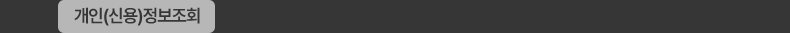 개인(신용)정보 조회